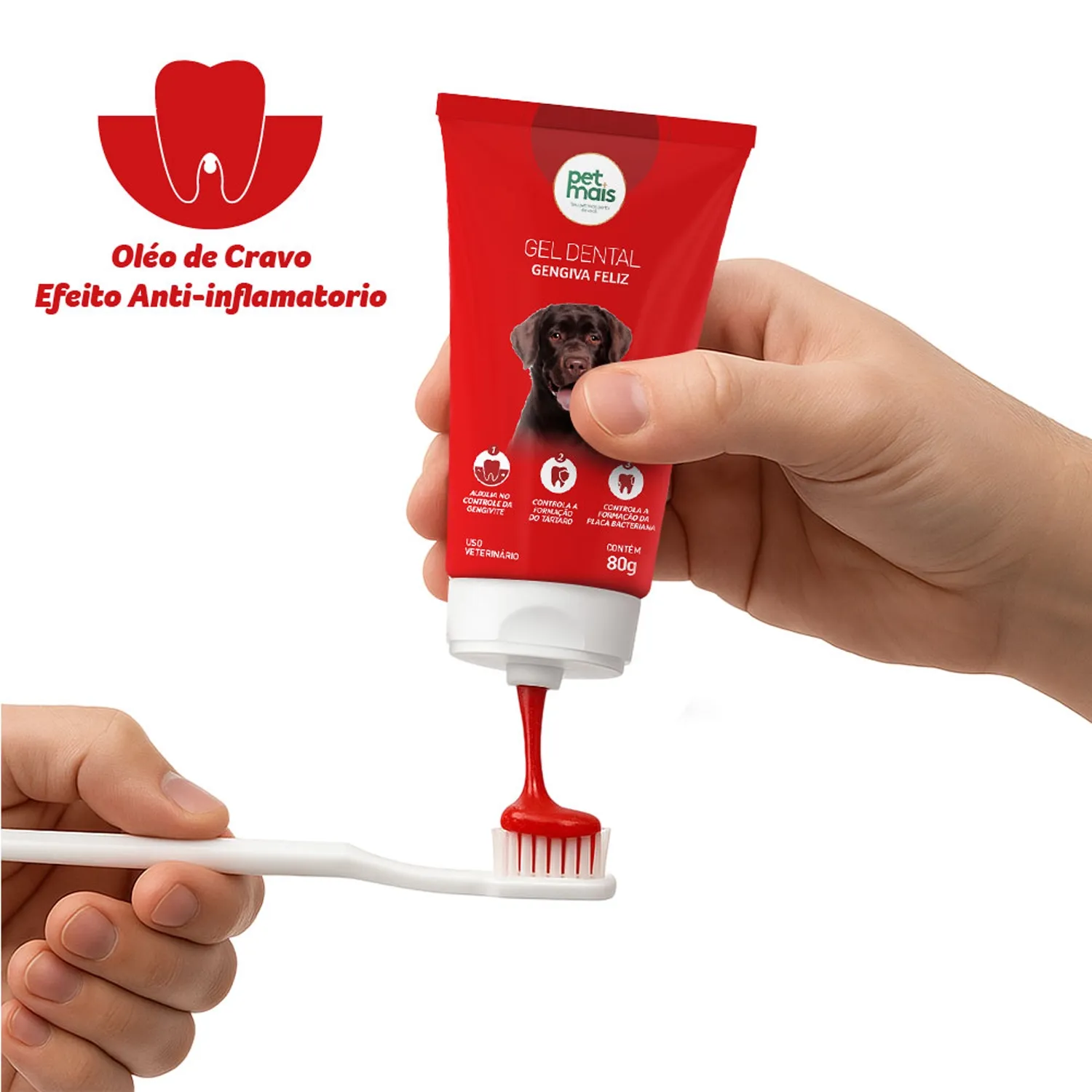 Gel Dental Petmais Gengiva Saudável